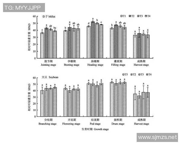 巴西与德国对决裁判组分析及其对比赛结果的影响探讨